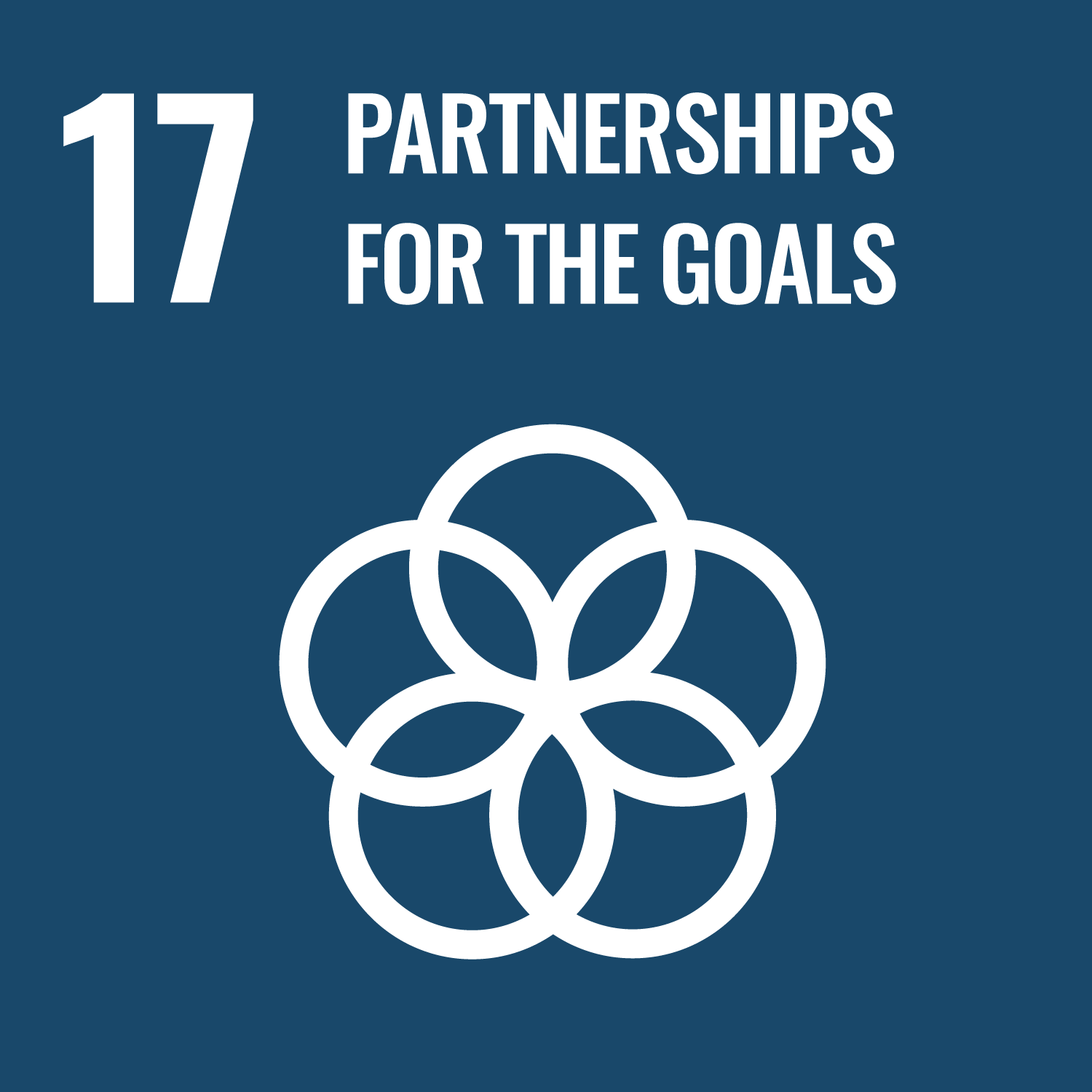 UN SDG17